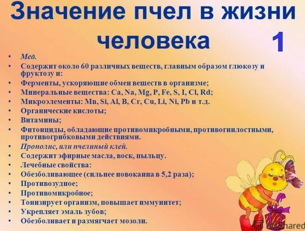 Роль пчелы в жизни человека. Роль пчел. Значение пчел в жизни человека. Важность пчел. Роль пчел для человека.