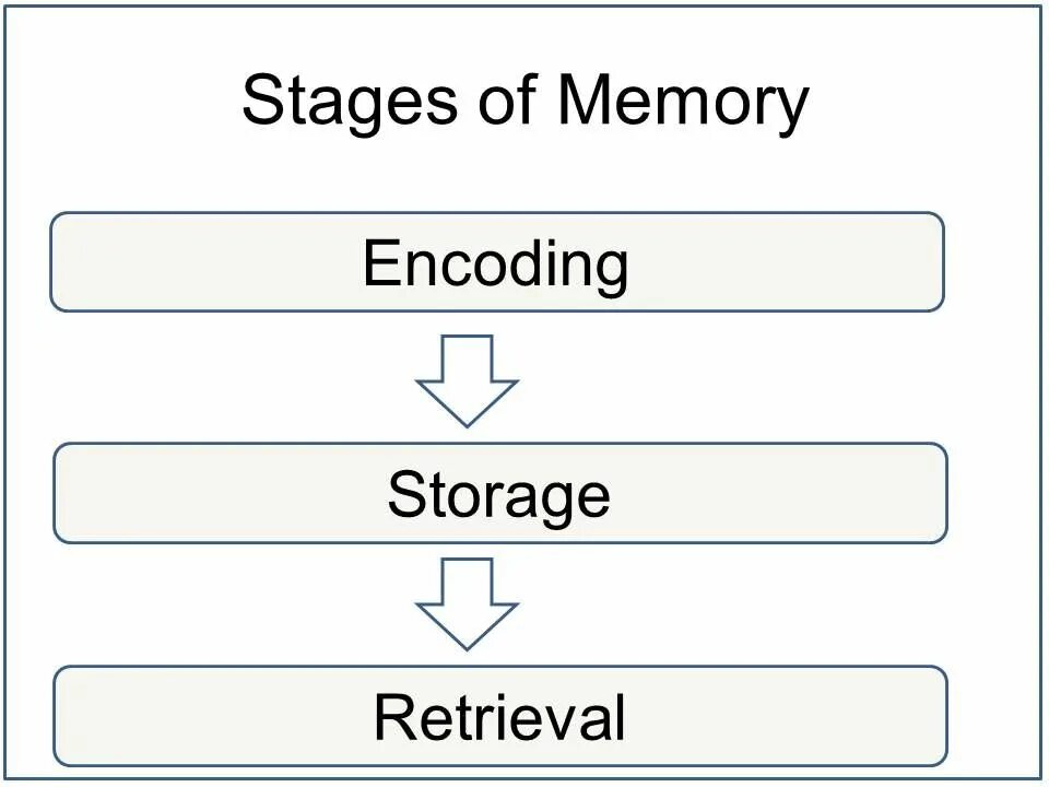 Memory request. Encoding of memories. encoding types. stages of memory process. memory types of encoding.