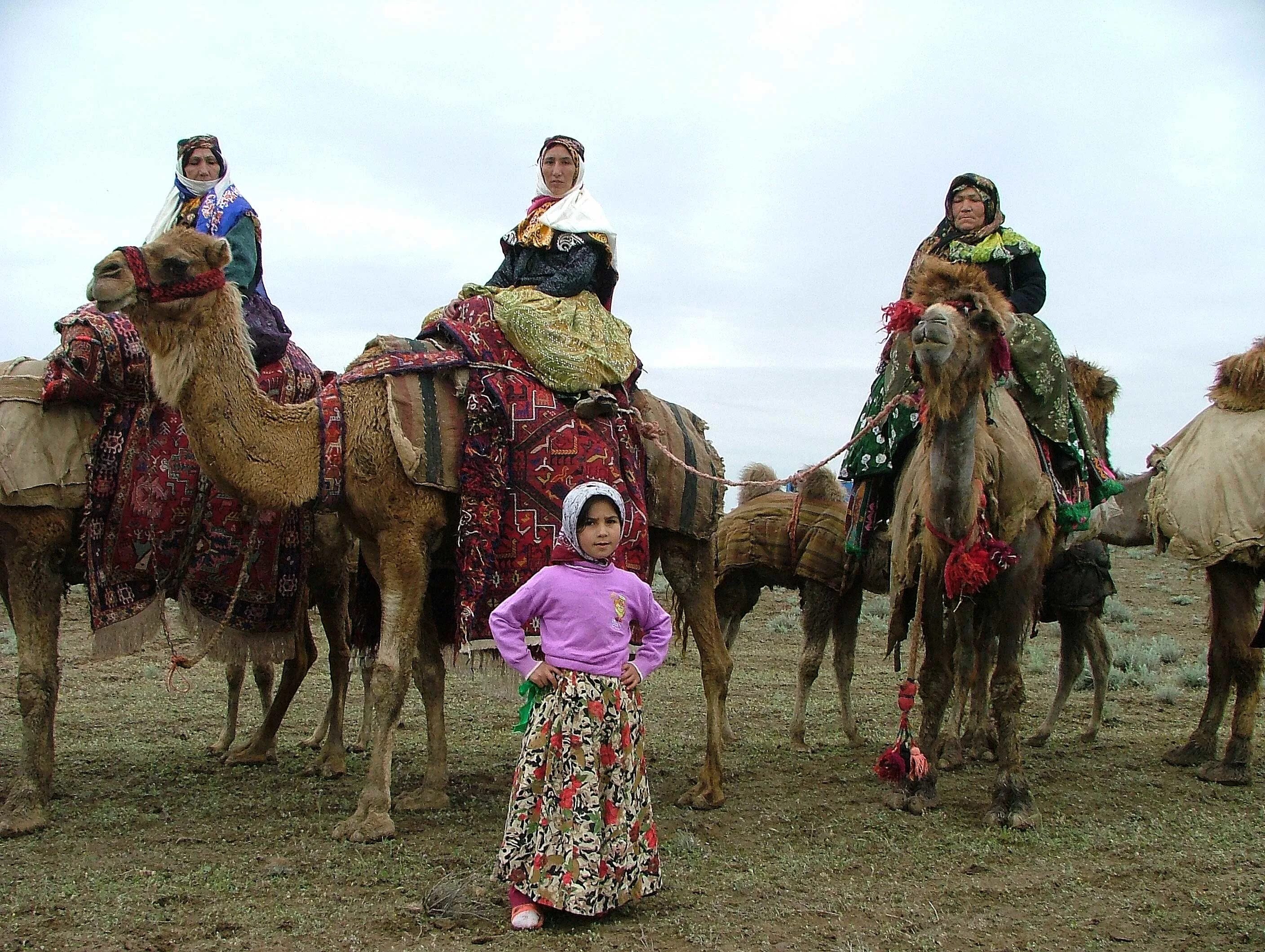 Кочевые народы жили. Верблюд Караван туркмены. Средняя Азия люди. Кочевые народы. Туркмены кочевники.