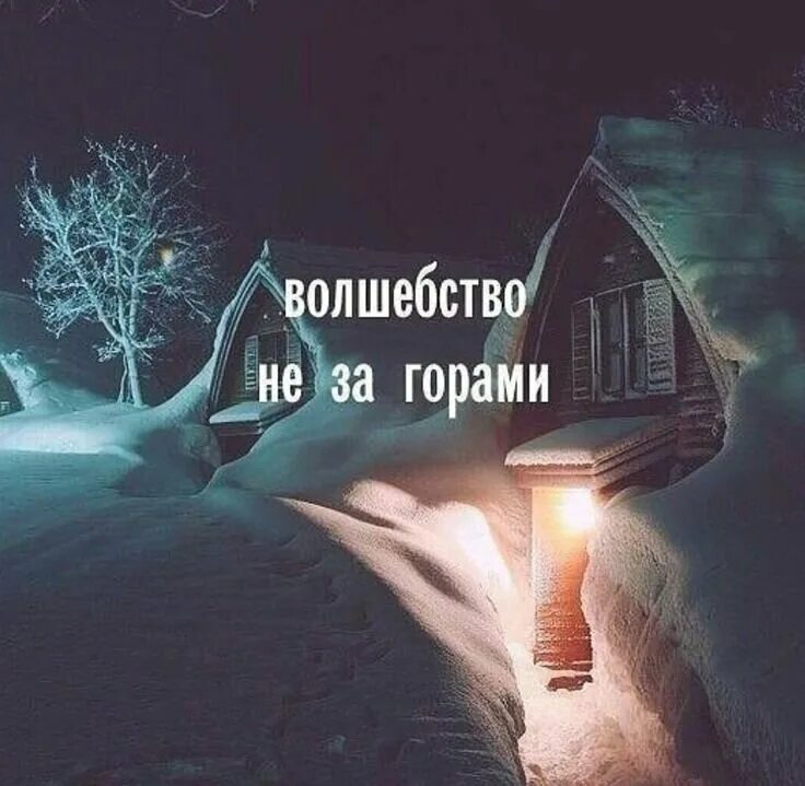 Я жду волшебства. Котик в гирлянде. Волшебство зимней сказки. Хахаски. Фея исполнения желаний.