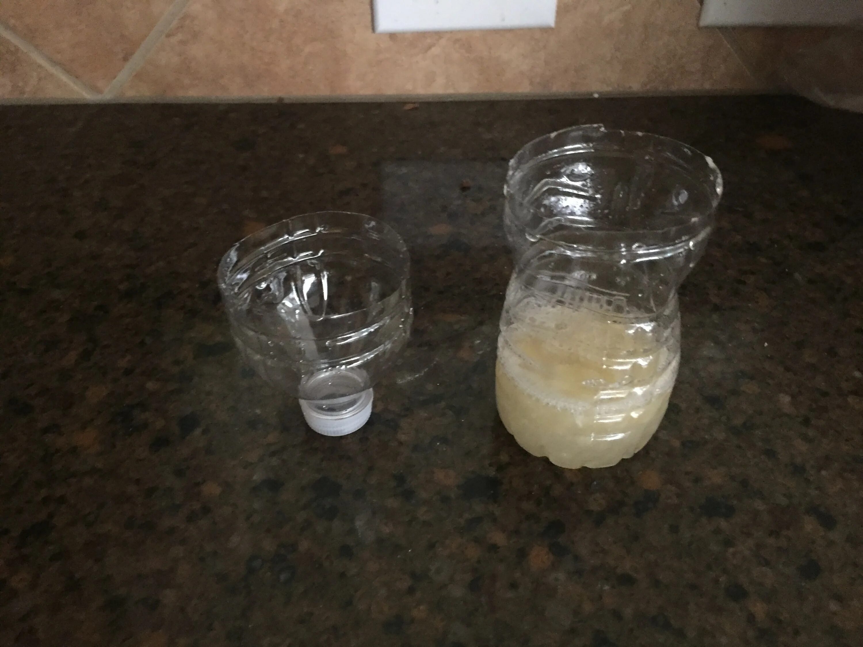 ловушка для мух из бутылки