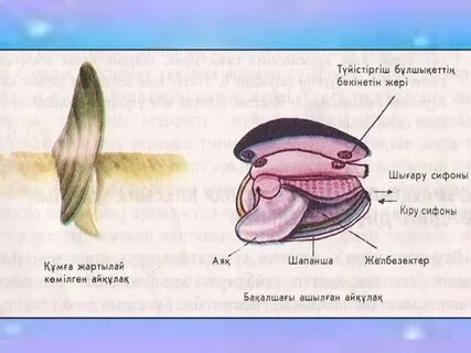 Жарқын боялған еріндері бар порно