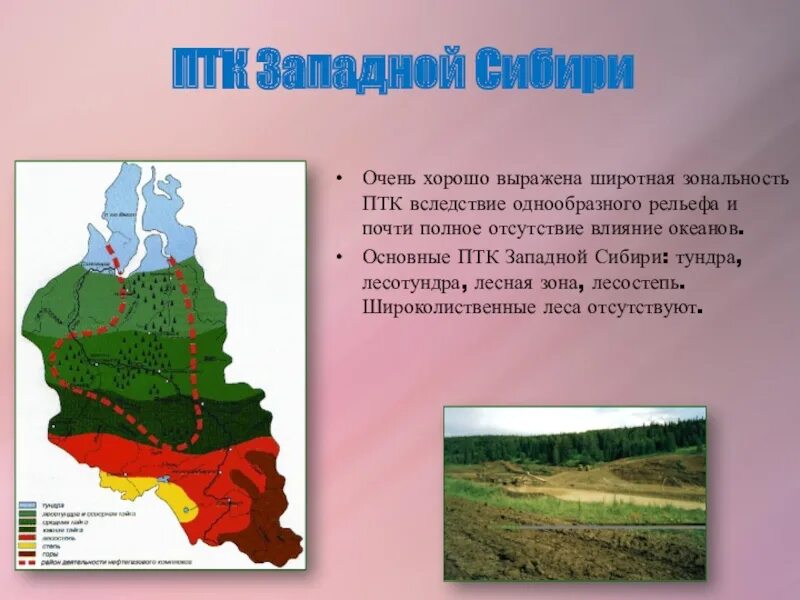 Природные особенности западной сибири. Рельеф Западно сибирской равнины карта. Геология Западно сибирской равнины. Западная Сибирь презентация. ПТК Западная Сибирь.