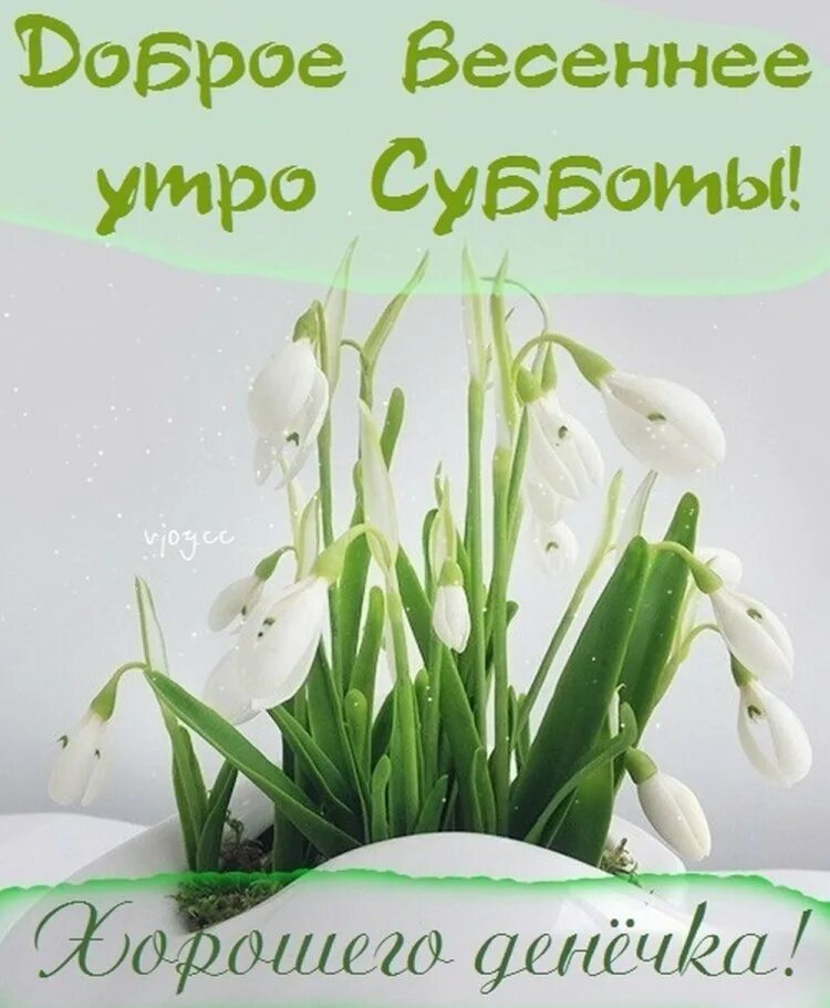 Картинки доброе утро июля суббота с пожеланиями. Открытки с добрым утром весенние. с добрым весенним утром. доброе весеннее утро.