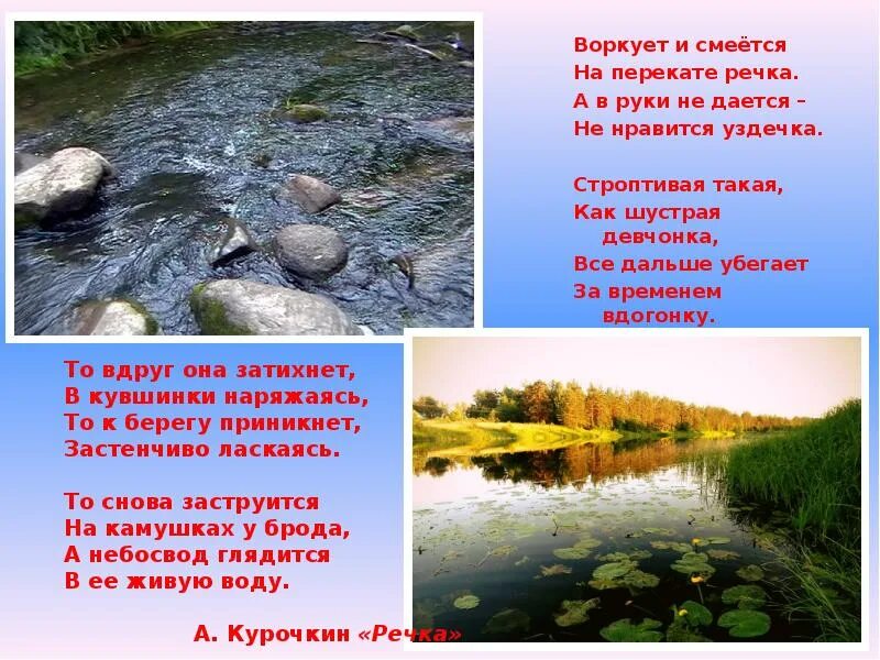 Затопленный лес на волге тверь. Канализация в лесу. Гольцова 10-11 класс русский учебник. Затопленные деревья. Глухо ворковала вода в затопленном лесу омывая бледно зеленые схема.