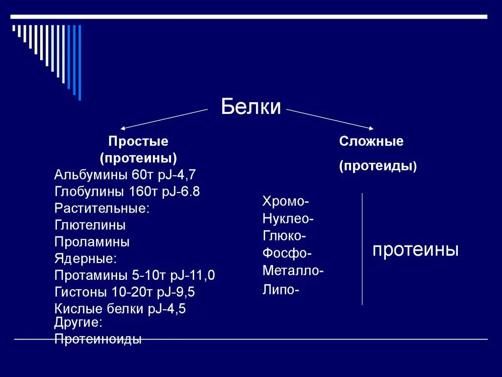 К протеинам относятся. Простые белки протеины. К простым белкам относятся. Простые и сложные белки. Простые и сложные белки протеины.