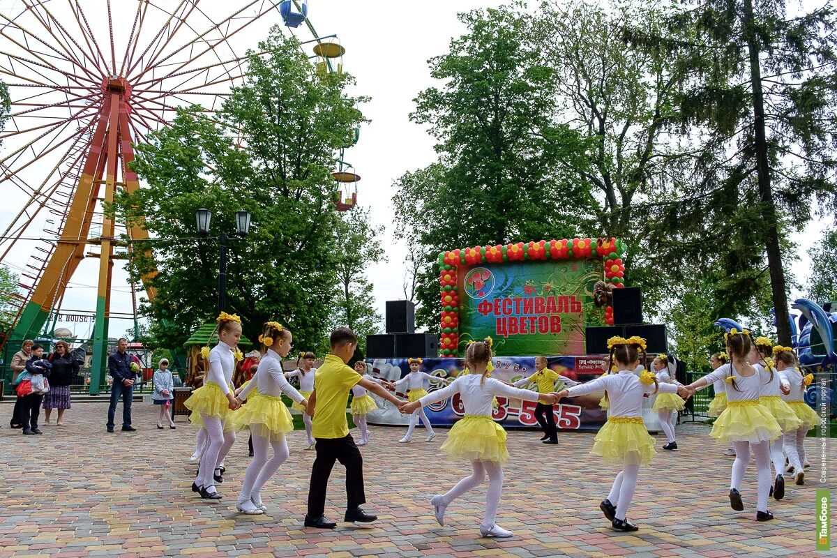 Городские культурные мероприятия. Тамбов Центральный парк. Парк культуры Тамбов. Городской парк культуры Тамбов. Горсад Тамбов.