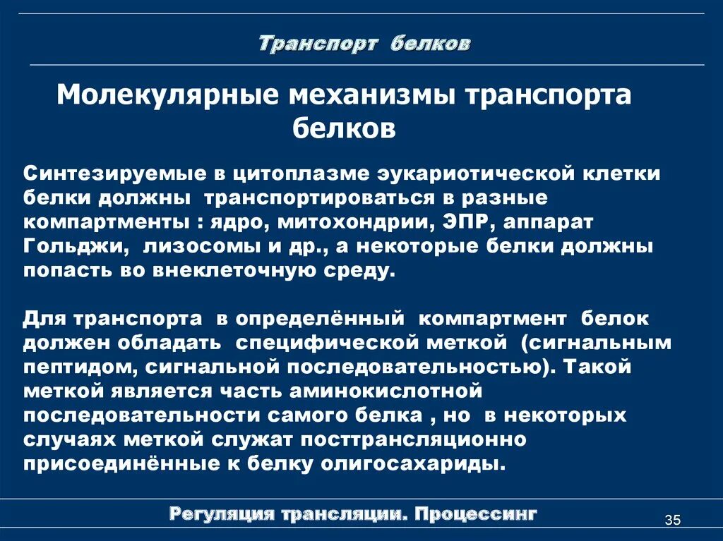 Транспорт белков внутриклеточный. Транспорт белков. Синтез и транспорт белков. Осуществляет Синтез и транспорт белков.