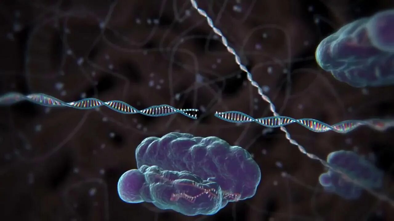 Ген геном генетические аппараты. Сверхчеловек генная инженерия. Геном опухоли. Организм с синтетическим геномом. Редактирование генома животных.