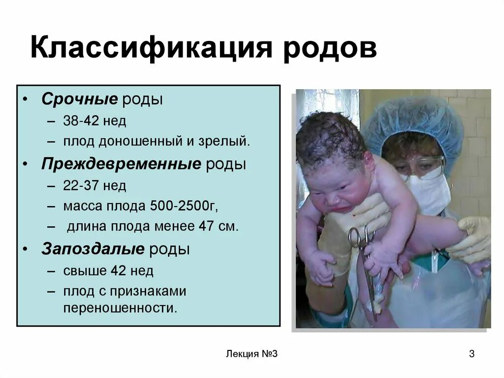 Ст родовая. Ст родовая. Родовые и видовые понятия в русском языке. Преждевременные роды сроки в неделях. Ст родовая.