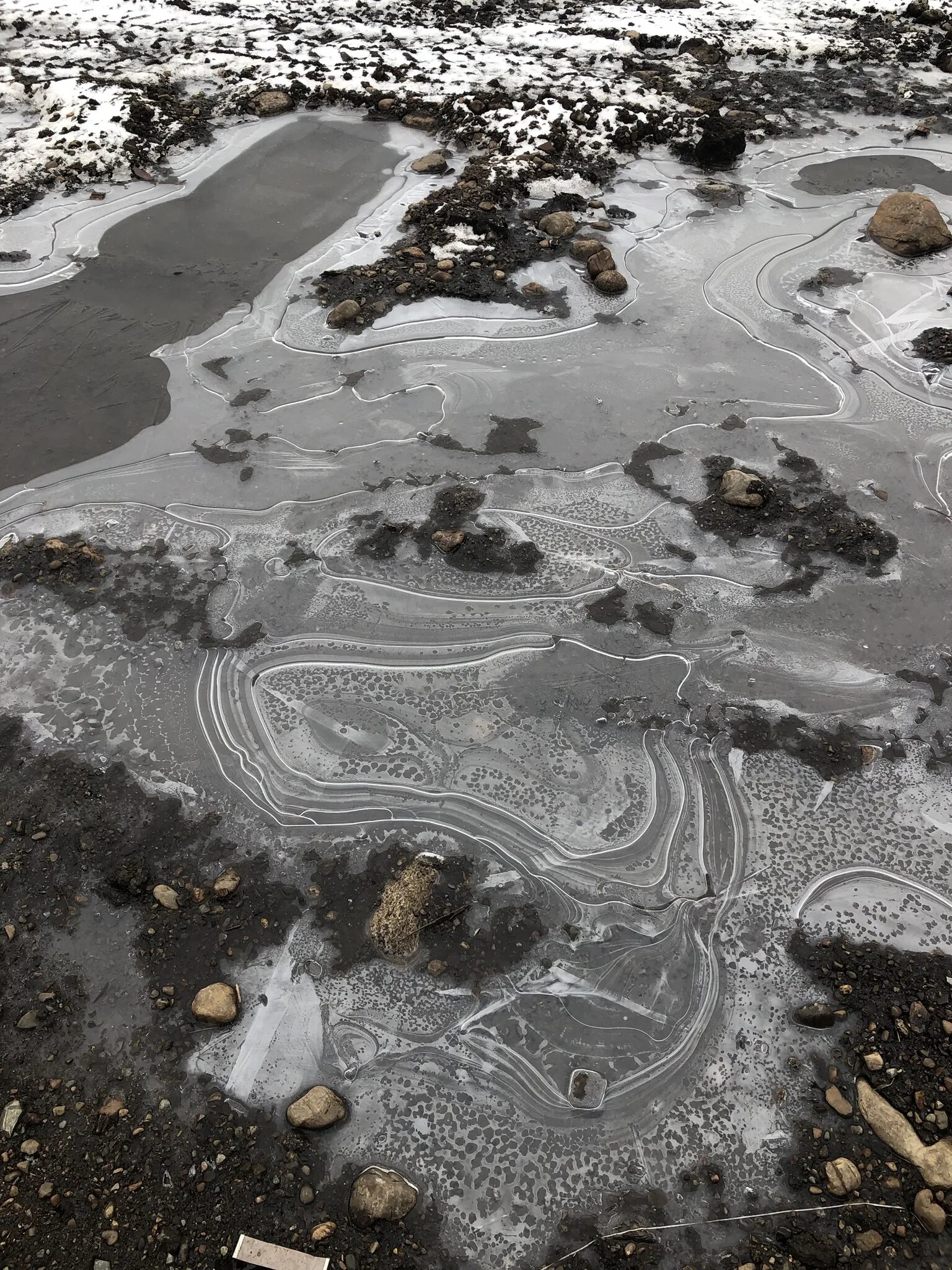 Вода покрылась коркой льда. Лужа. Замерзшая лужа. Ледяная лужа. Лед на лужах.