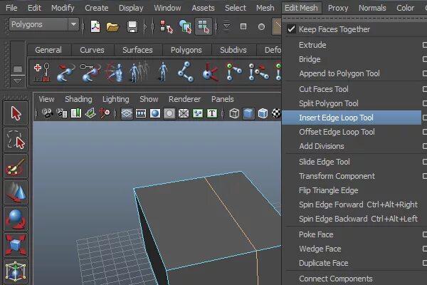 Edit mesh