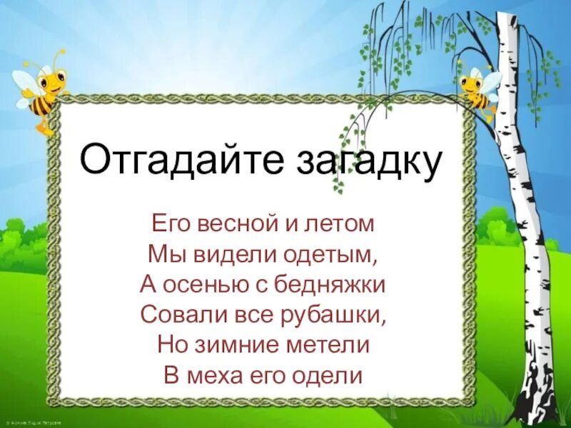 Шаблон для презентации. Презентации готовые. Дизайн презентации. Картинки для слайдов в презентации. Добрая березка