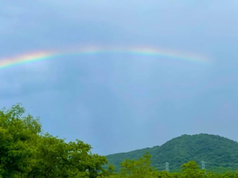 радуга картинка. явилась радуга. красивая радуга. радуга в небе. радуга картинка.