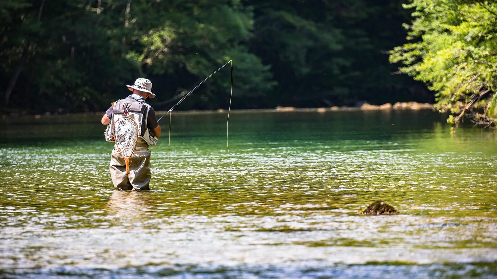 Сонник ловить рыбу мужчине. Рыбы и рыбалка. Ловля рыбы нахлыстом. Пресноводное рыболовство. Рыбалка в Хорватии.