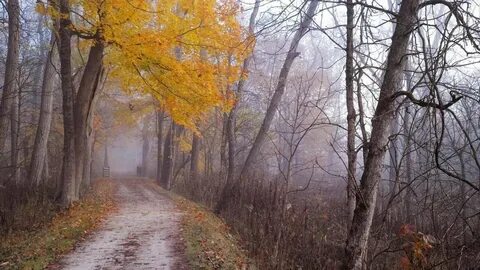 Унылая поздняя осень