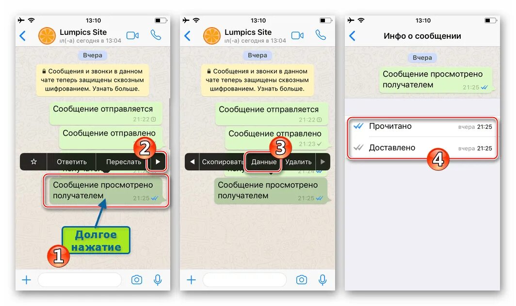 Сообщения и звонки защищены сквозным. Статусы сообщений в whatsapp. галочки в ватсапе что означает. что означают галочки в whatsapp в сообщениях. статус сообщения в ватсап.
