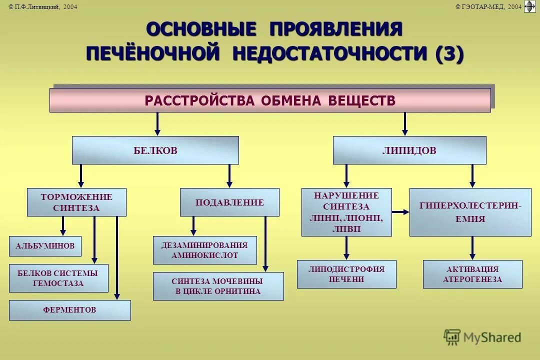 Печеночная недостаточность патофизиология. Механизм печеночной недостаточности. Механизм развития печеночной недостаточности. Патогенез печеночной недостаточности.