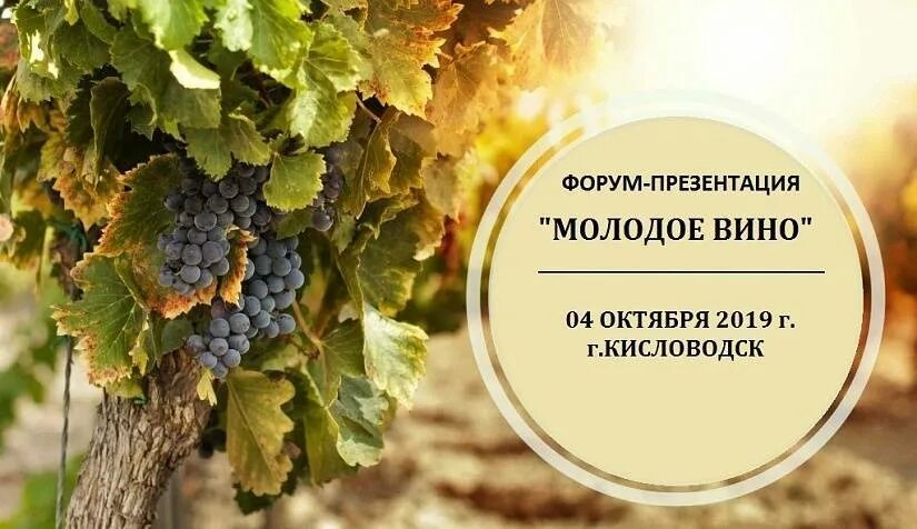 Форум вин. Виноделие презентация. презентация вина. презентация винодельни. презентация виноградные вина.
