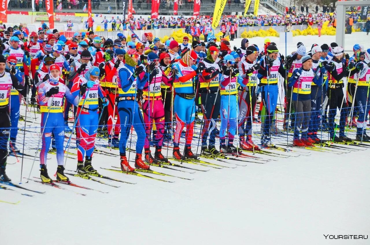 Деминский марафон. Деминский марафон. Демино марафон 2023. Андрей деминский. Деминский марафон 2021 кондрашев дмитрий.