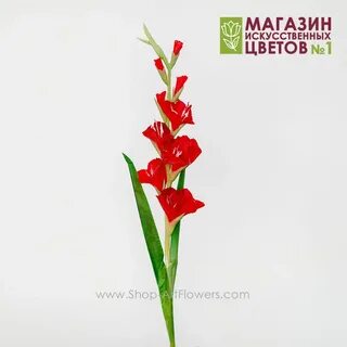 Гладиолусы в цветочном магазине