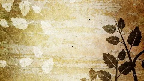 Beige nature