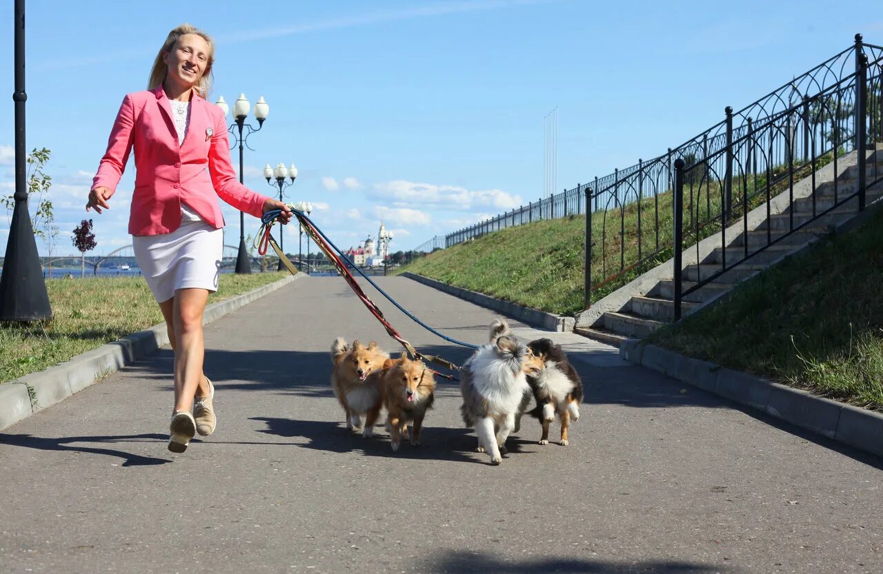 постепенно добрался