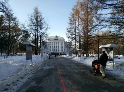 Население кудымкара