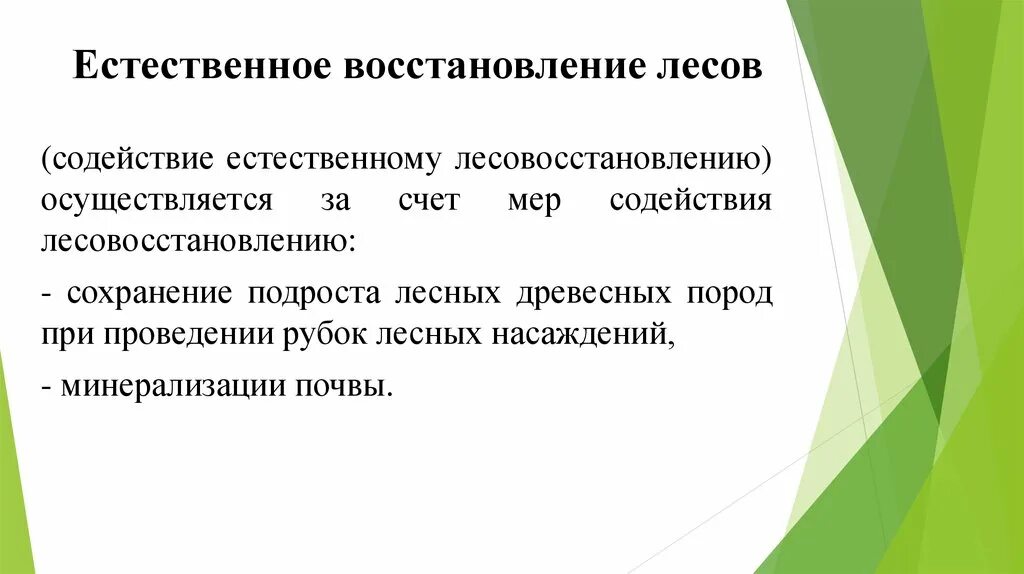 Естественное восстановление лесов. Содействие естественному лесовосстановлению. Способы сохранения подроста. Естественное содействие естественному возобновлению леса.