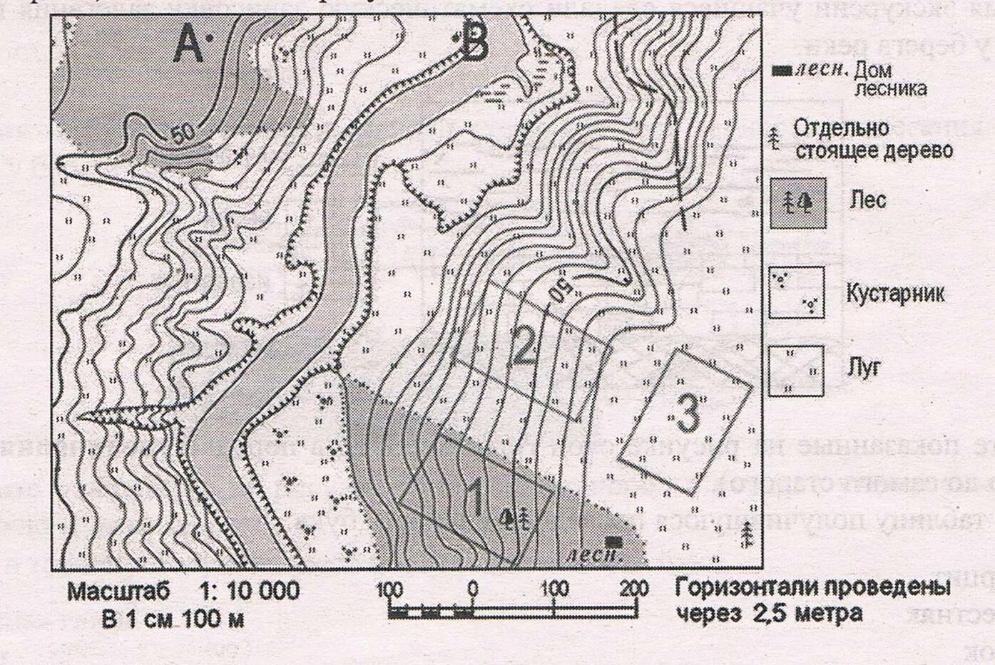 Масштаб плана местности. Линейный масштаб карты. Карта местности с масштабом. Домик лесника на плане местности. План местности топографическая карта.