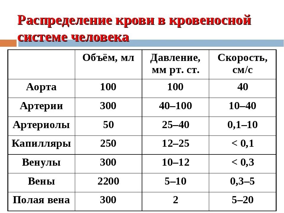 На сколько понижается давление. Давление крови в сосудах человека. Скорость движения крови в венах и артериях. Распределение давления крови в сосудистой системе. Давление в кровеносных сосудах.