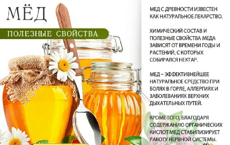 Полезные свойства меда кратко. Мёд полезен для печени. Рецепты народной медицины. Какой мед полезнее для детей.
