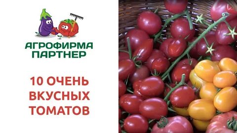 Агрофирма партнер семена помидор
