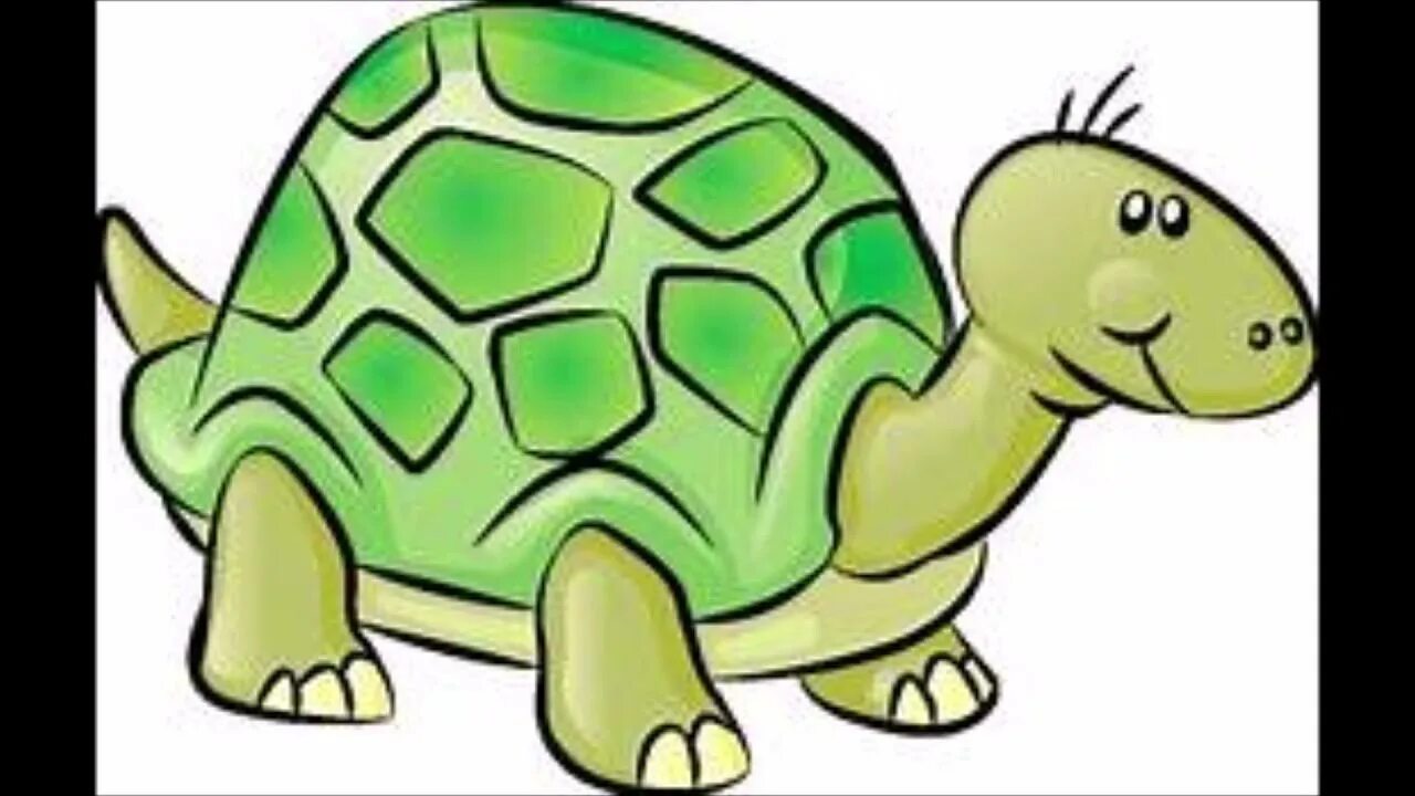 Черепаха белка. Черепаха рисунок. черепашка рисунок. черепаха на белом фоне. черепашка на прозрачном фоне.