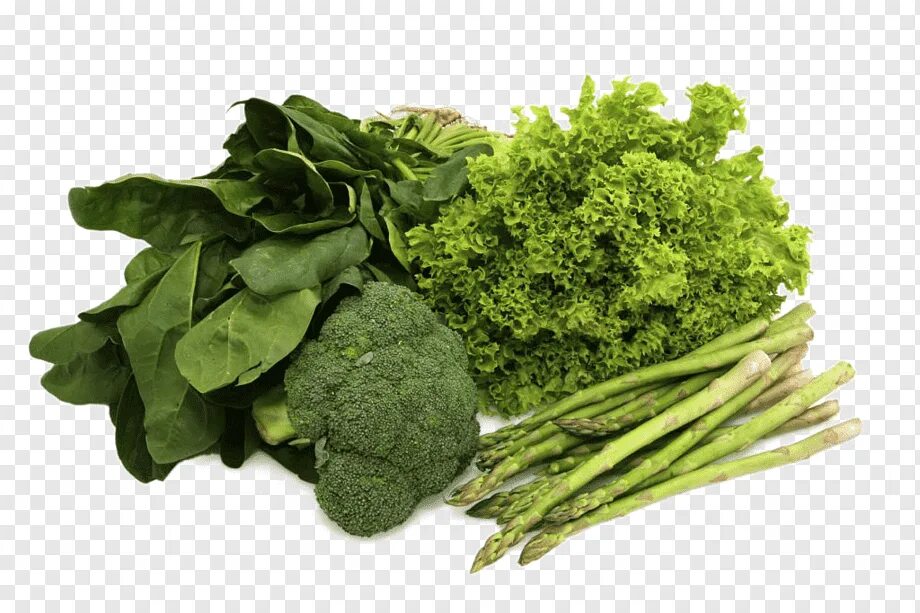 Зеленые продукты растительного. Брокколи шпинат петрушка. Спаржа брокколи шпинат. Зелень. Листовая зелень.