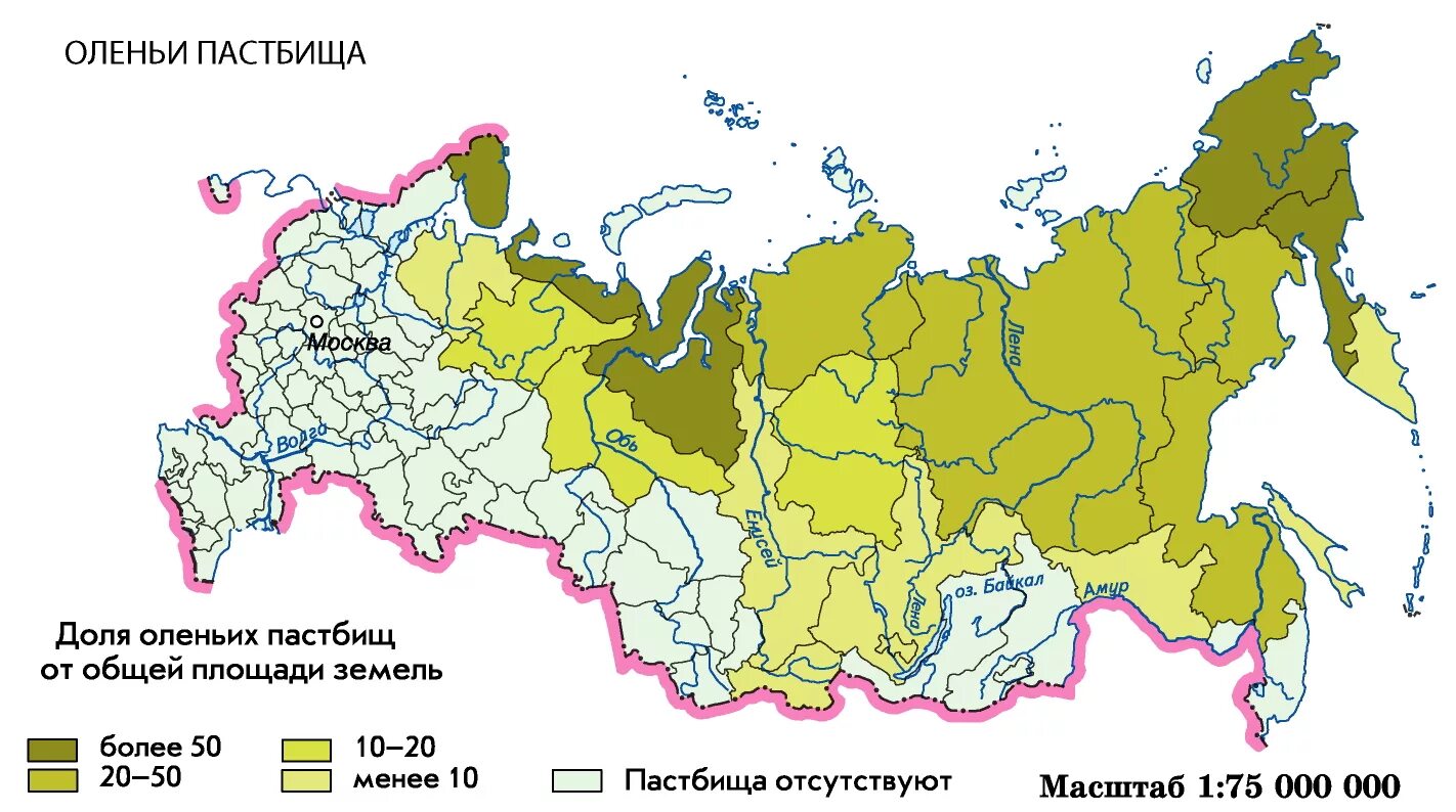 Эта природная зона занимает более половины территории. Оленьи пастбища на карте России. Пастбища России карта. Территории оленьих пастбищ. Площадь оленьих пастбищ России.