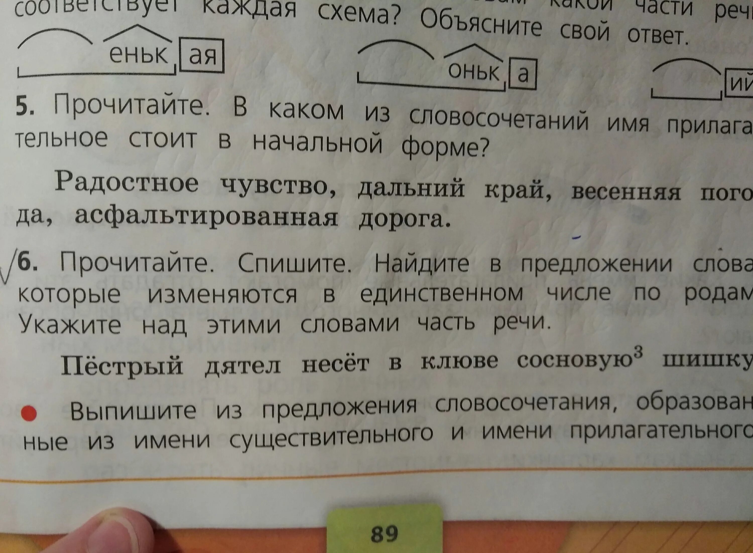 Пестрый разобрать. Словосочетания со словом дятел. Пестрый дятел несет в клюве сосновую шишку. Несет в клюве сосновую шишку падеж имени прилагательного. Пестрый дятел несет в клюве сосновую шишку разбор предложения.