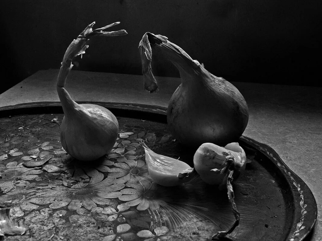 луковица жизни. луковица жизни. круглый чеснок без зубчиков. роль луковицы в жизни растения. стихи о луке.