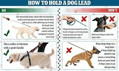Dogs must keep on a lead