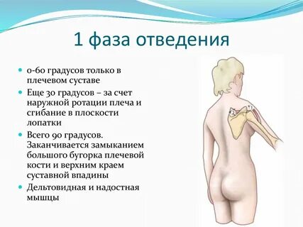 Какой угол в плечо