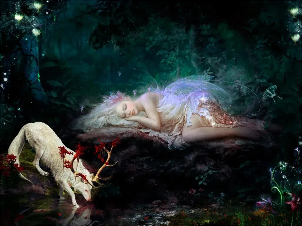 иеремия морелли. волшебный лес миядзаки. арт лес ori. лес эльфов фэнтези. сказочные лесные существа.