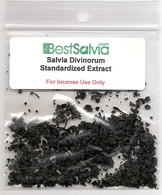 Salvia extract. Сальвия дивинорум. сальвия дивинорум экстракт. шалфей (сальвия дивинорум). шалфей предсказателей /salvia divinorum семена.