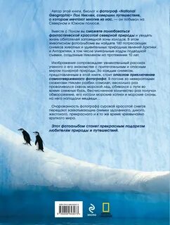 Северный полюс книги