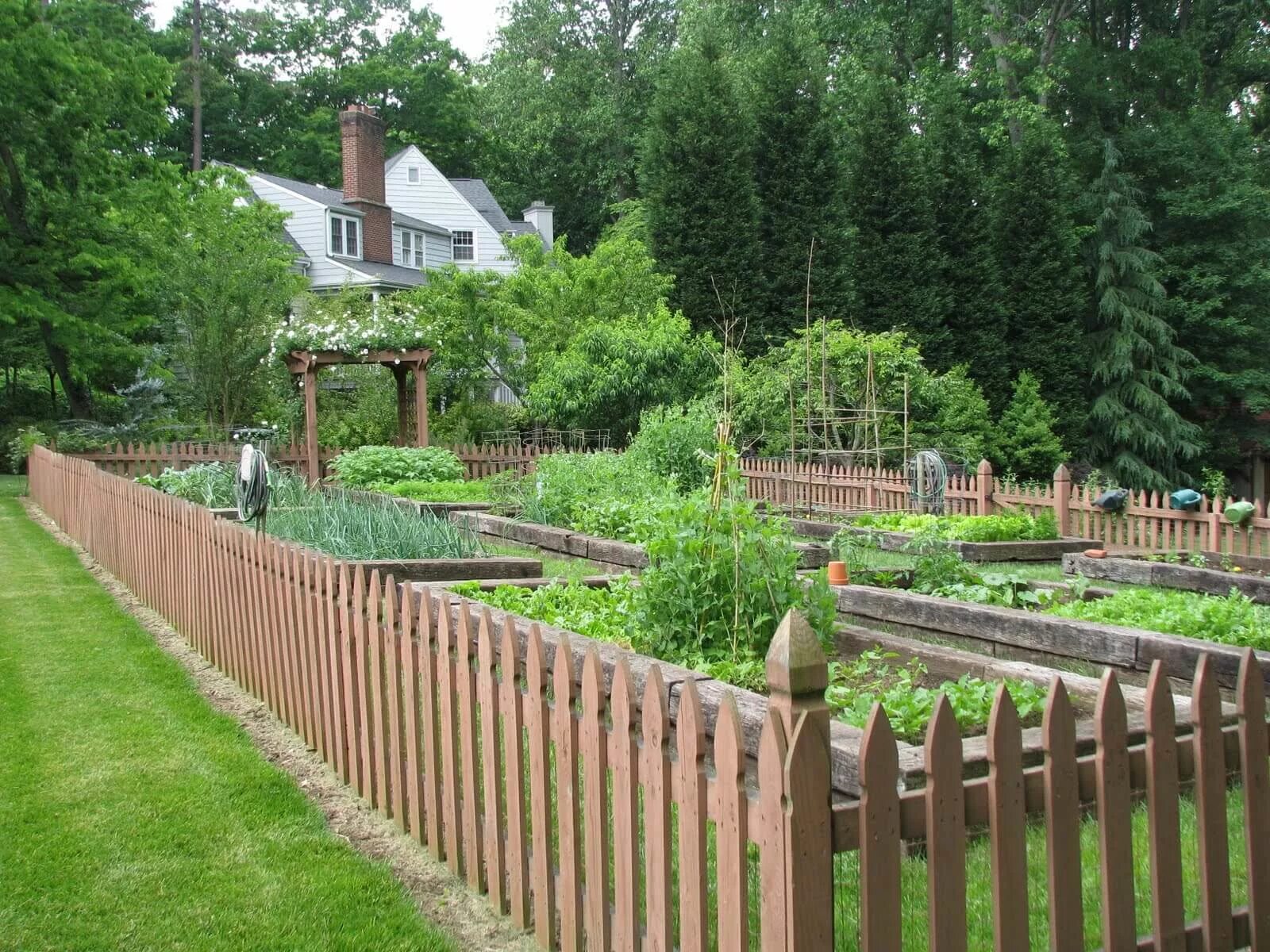 Какой забор можно между участками. Изгородь для огорода. Ограда для огорода. Забор для огорода. Заборчик на участке.