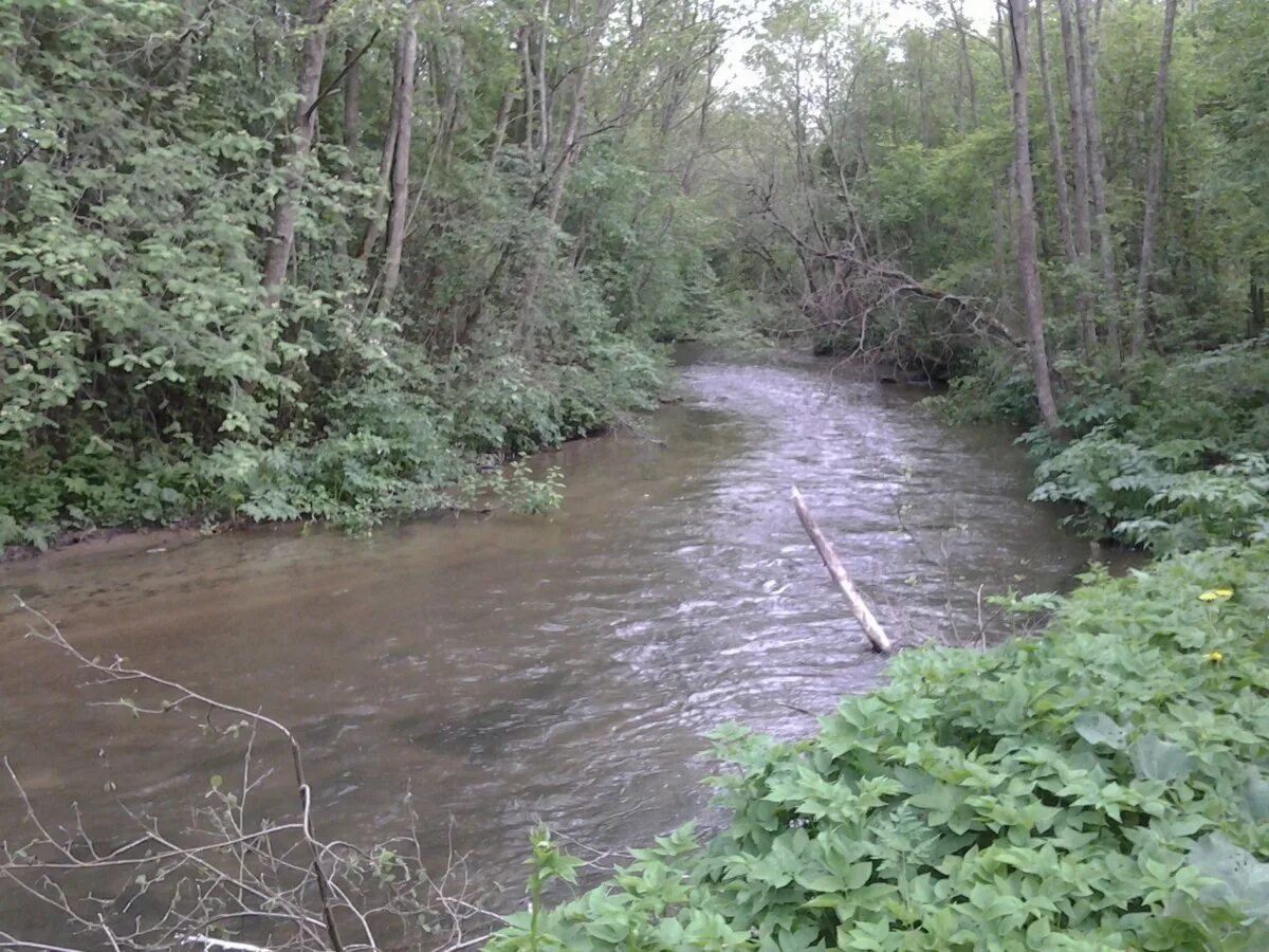 Река стрелка Ропша. Река стрелка Ломоносовский район. Ропша водопад. Ропша форель.