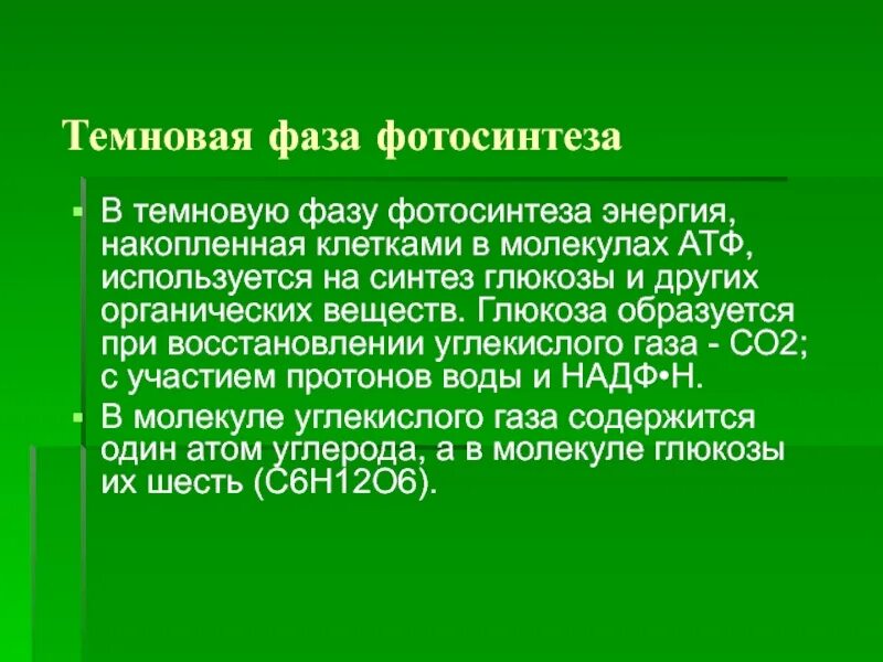 Синтез молекул атф фаза фотосинтеза