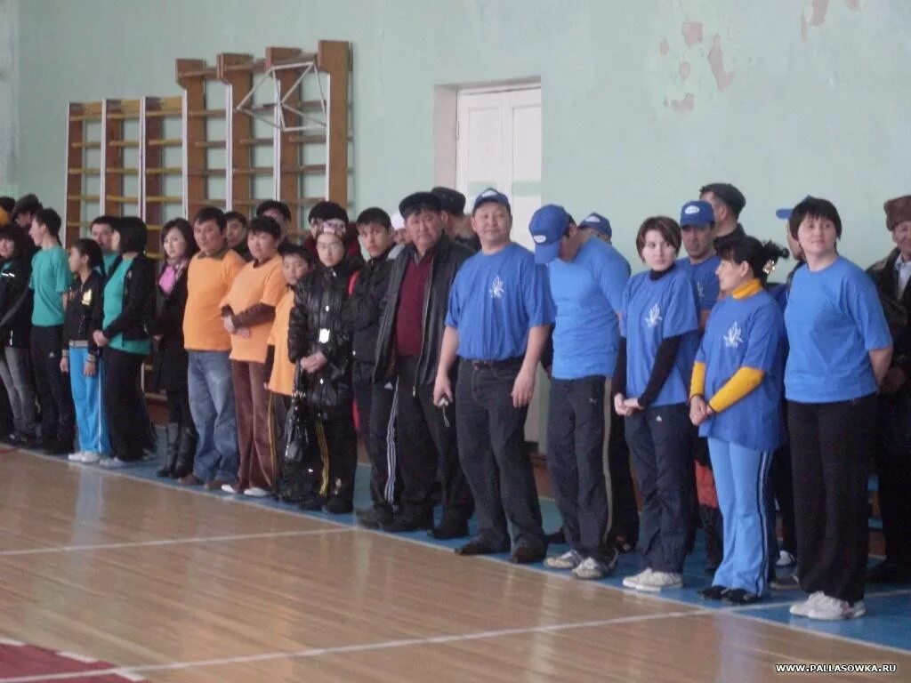 погода в палласовке на две недели