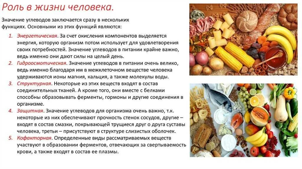 Функции и значение углеводов в организме. Роль углеводов в организме.