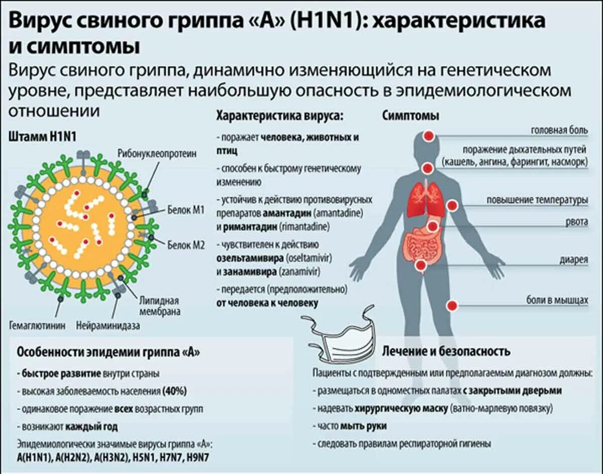 Давно болел. Вирус гриппа h1n1. Вирус свиного гриппа h1n1 для человека. Грипп h1n1 симптомы. Свиной грипп h1n1.