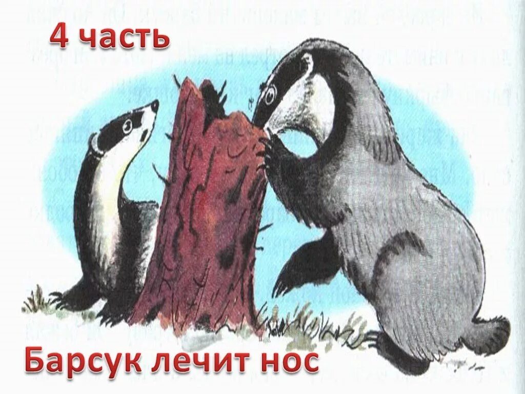 Произведения паустовского к г рассказа барсучий нос. Паустовский барсук барсучий нос. Барсучий нос иллюстрации к рассказу. Паустовский барсучий нос 3 класс. Барсучий нос Паустовский иллюстрации к произведению.